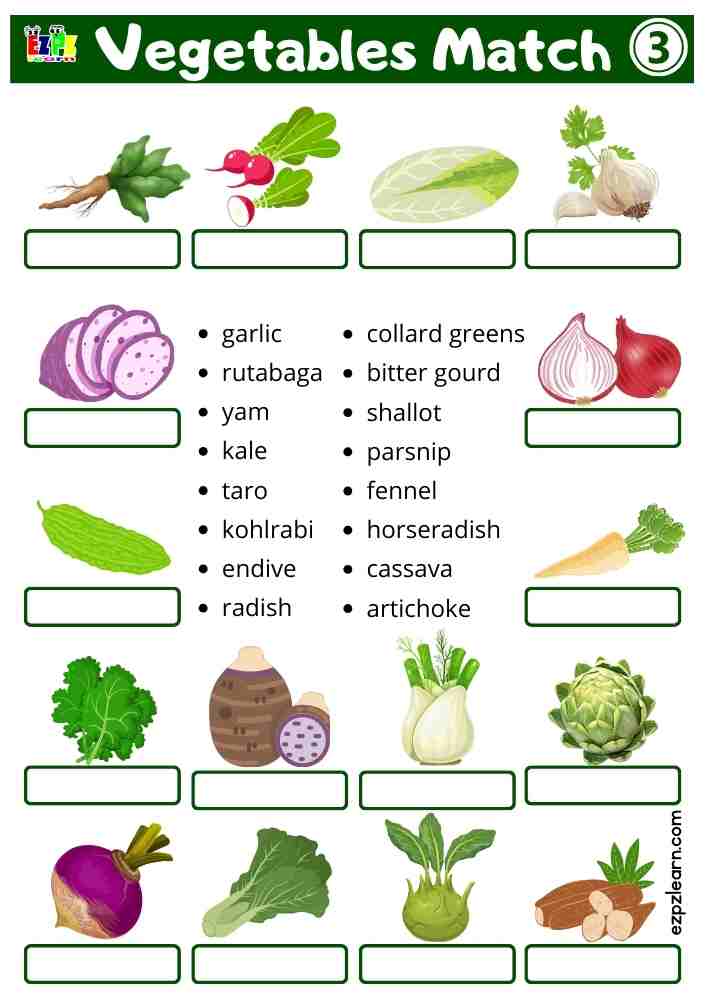 Vegetables Writing Worksheet – Look at the Image and Write the Correct Word from the List (Free PDF Download) Set 3